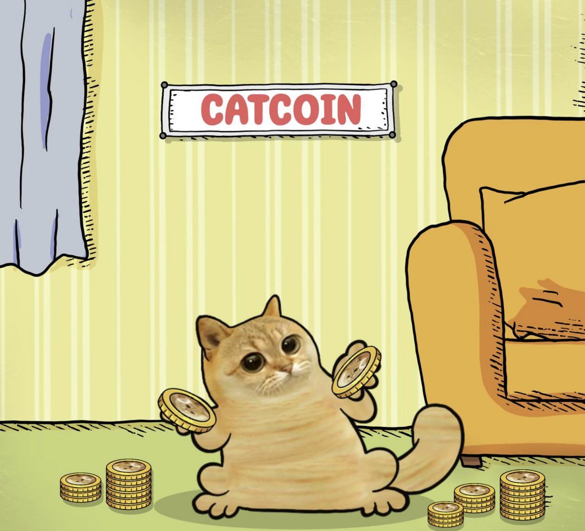 catcoin's tweet photo. #catcoin https://t.co/zfT2doEcah