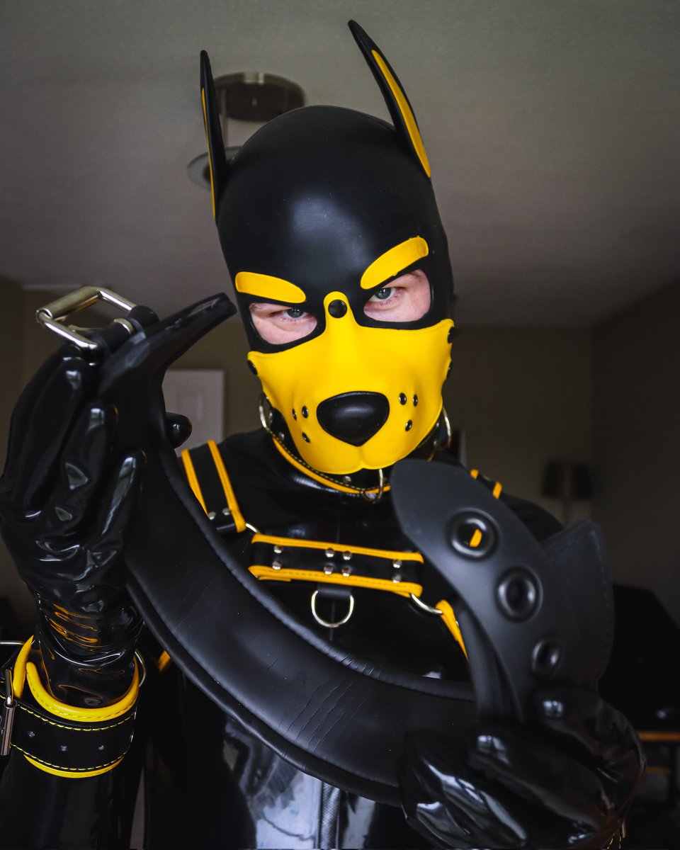 Pup Tauri 🐾💙❤️🤍 on BLUESKY tweet media