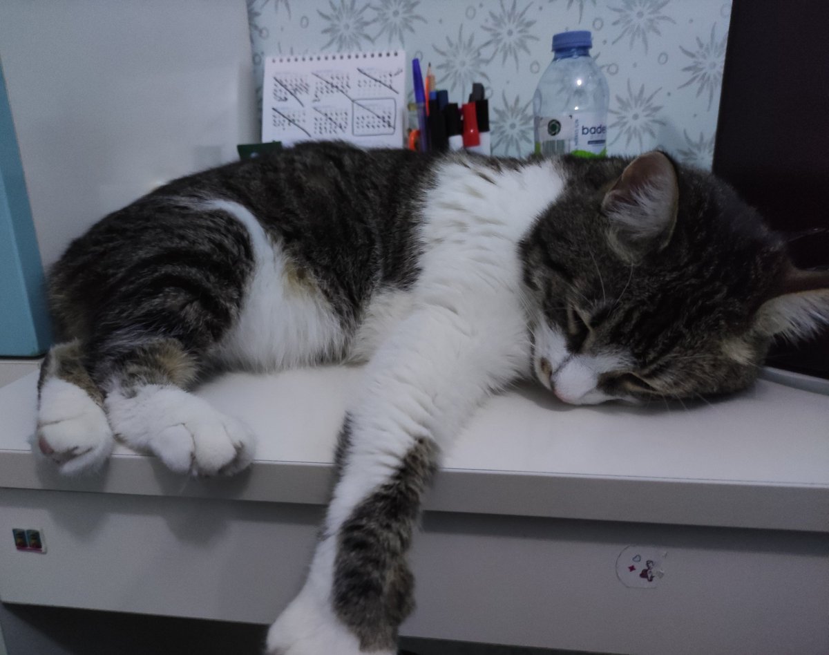 Çok çalşmakdan masada huyyakalmşdım