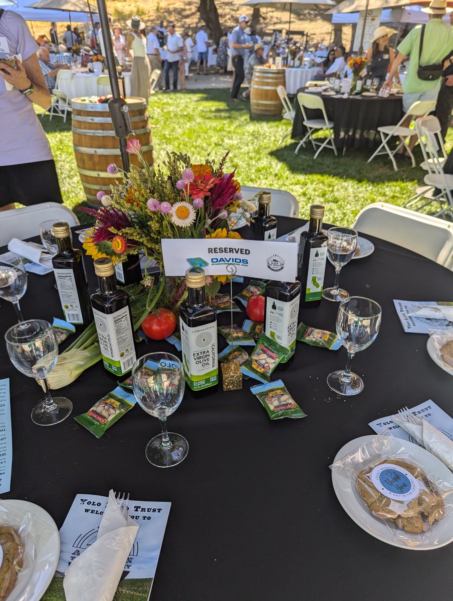 Davids_Eng's tweet photo. We spent our Sunday with @YoloLandTrust  at their annual A Day In The Country event! DE is honored to support this event that celebrates Yolo County's vast farmland and the work YLT is doing to conserve &amp; protect this farmland. https://t.co/4RT69Xu5KI