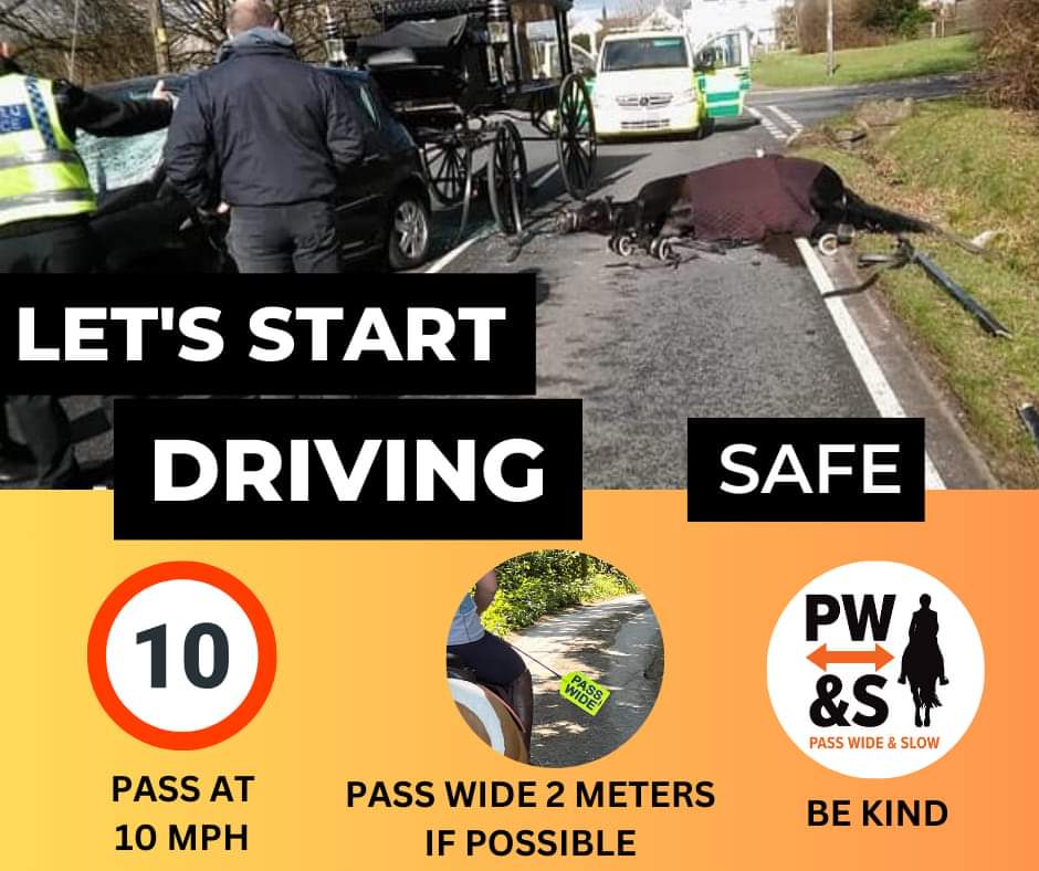 change.org/p/katie-s-law-…

Please sign the petition!