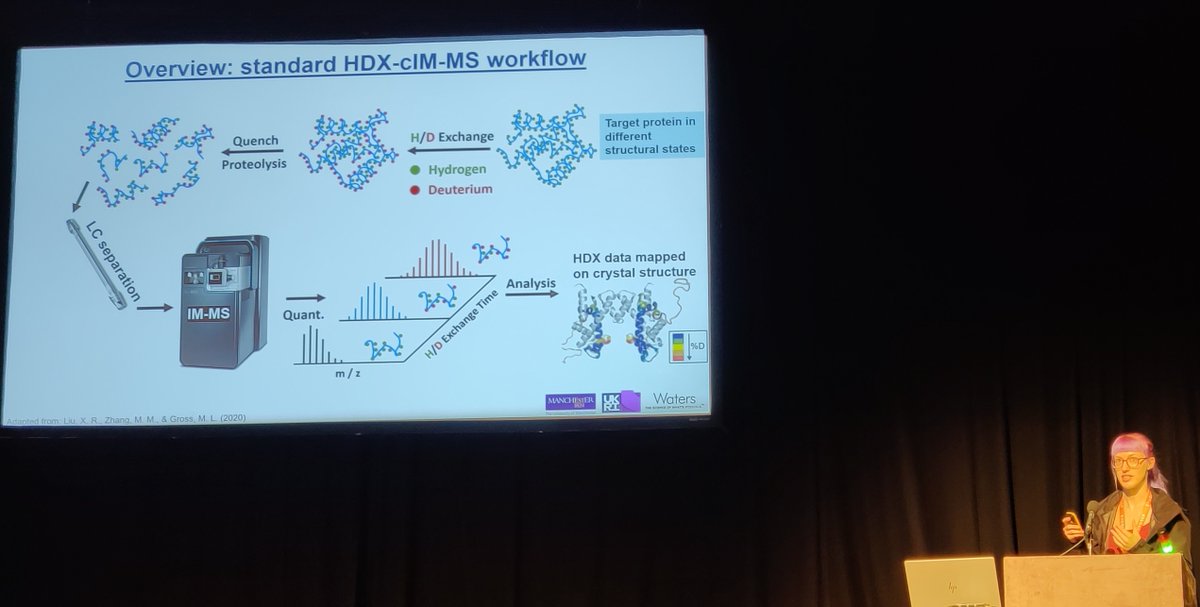 Vanessa Duerr did a great job presenting at BMSS-BSPR Super meeting 2024. She presented her work developing a high-throughput method for HDX using cyclicIM-MS.