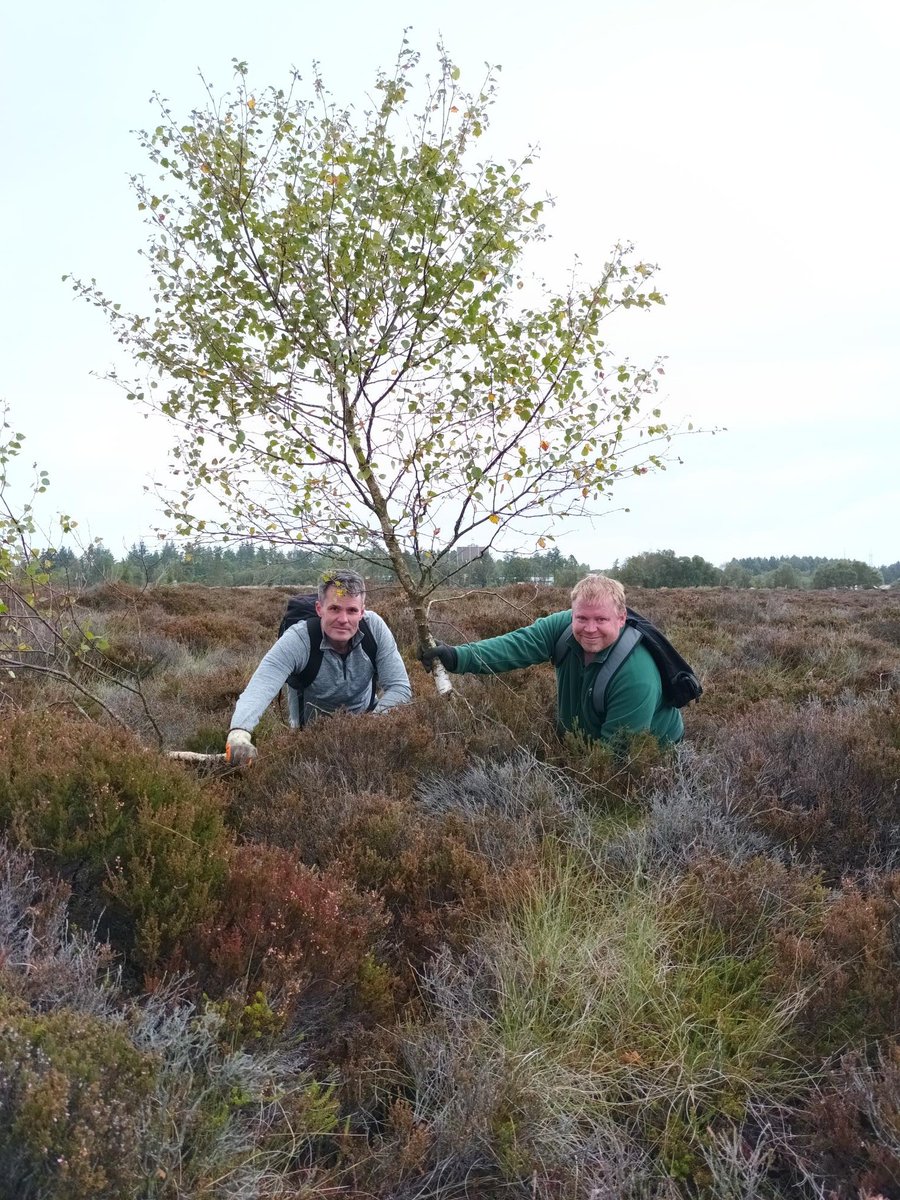 BC Scotland tweet media