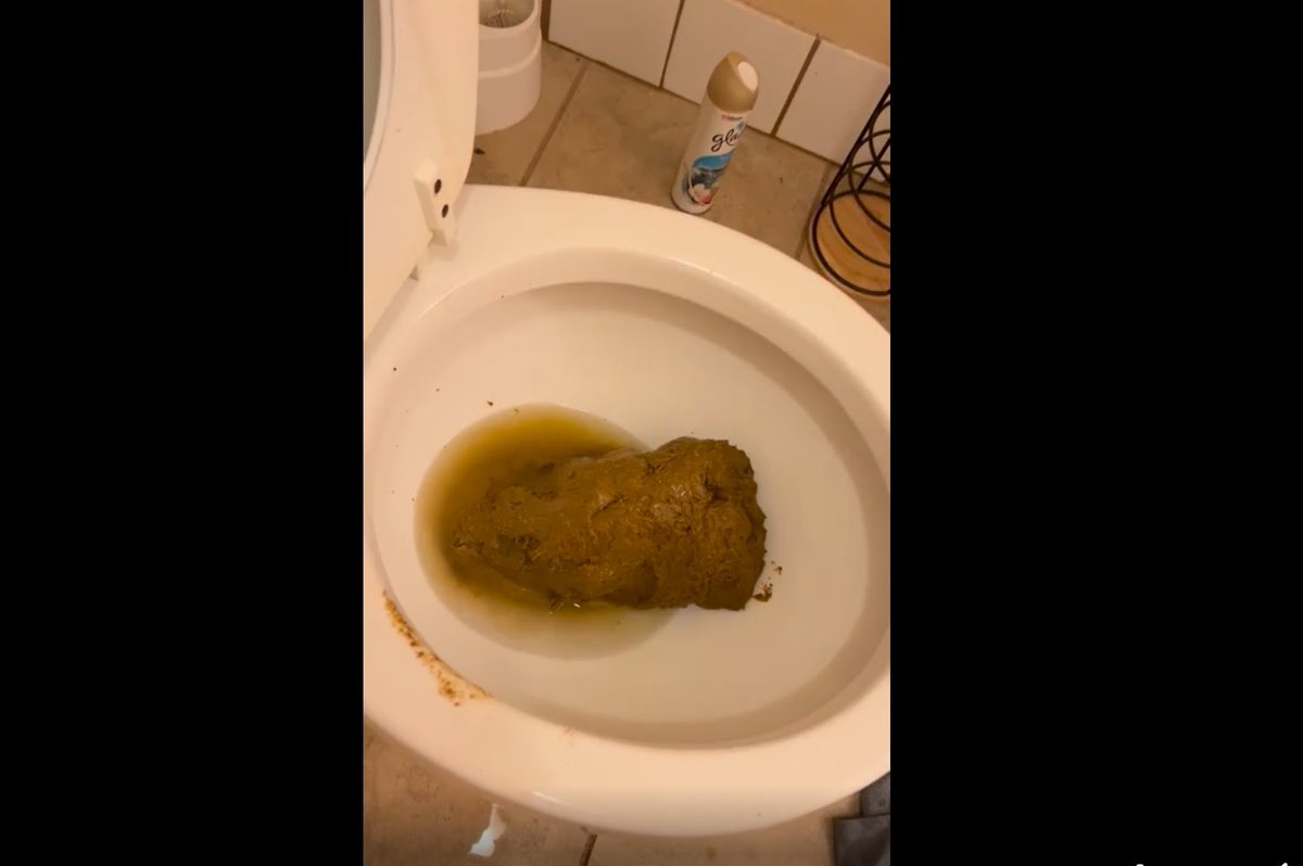 Nick Cave is your anxious Nan #aturdaday #4elon