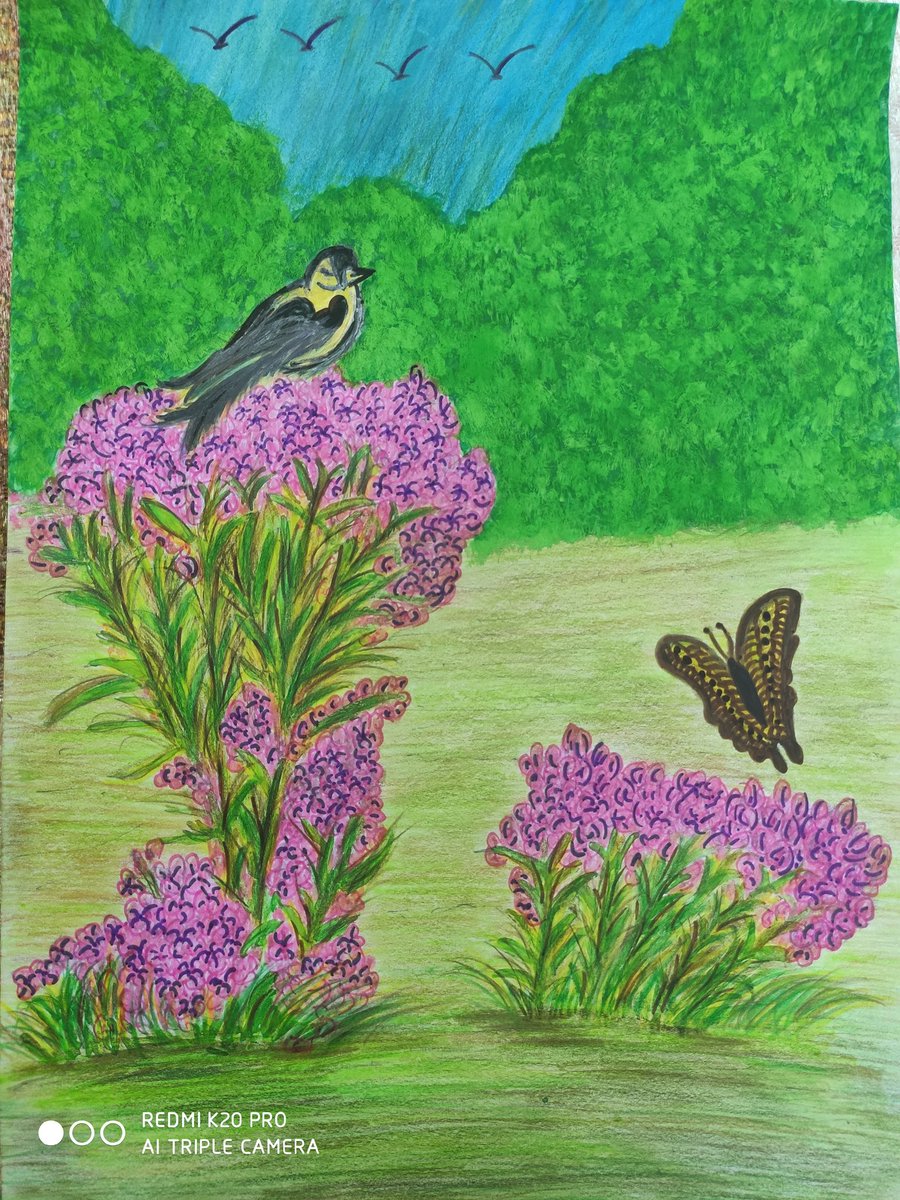 hpsinghkapoor's tweet photo. #art #artwork #practicingart #artworks #natureart #investmentinmyartskills #growingart #beautifulart #enjoyingart
#colouring #drawing #skilldevelopement https://t.co/JSkslSGX92