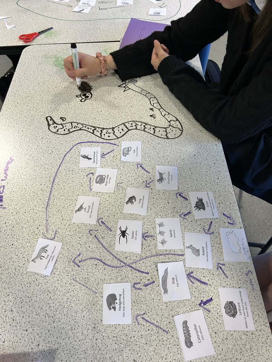 ChrystonScience tweet media