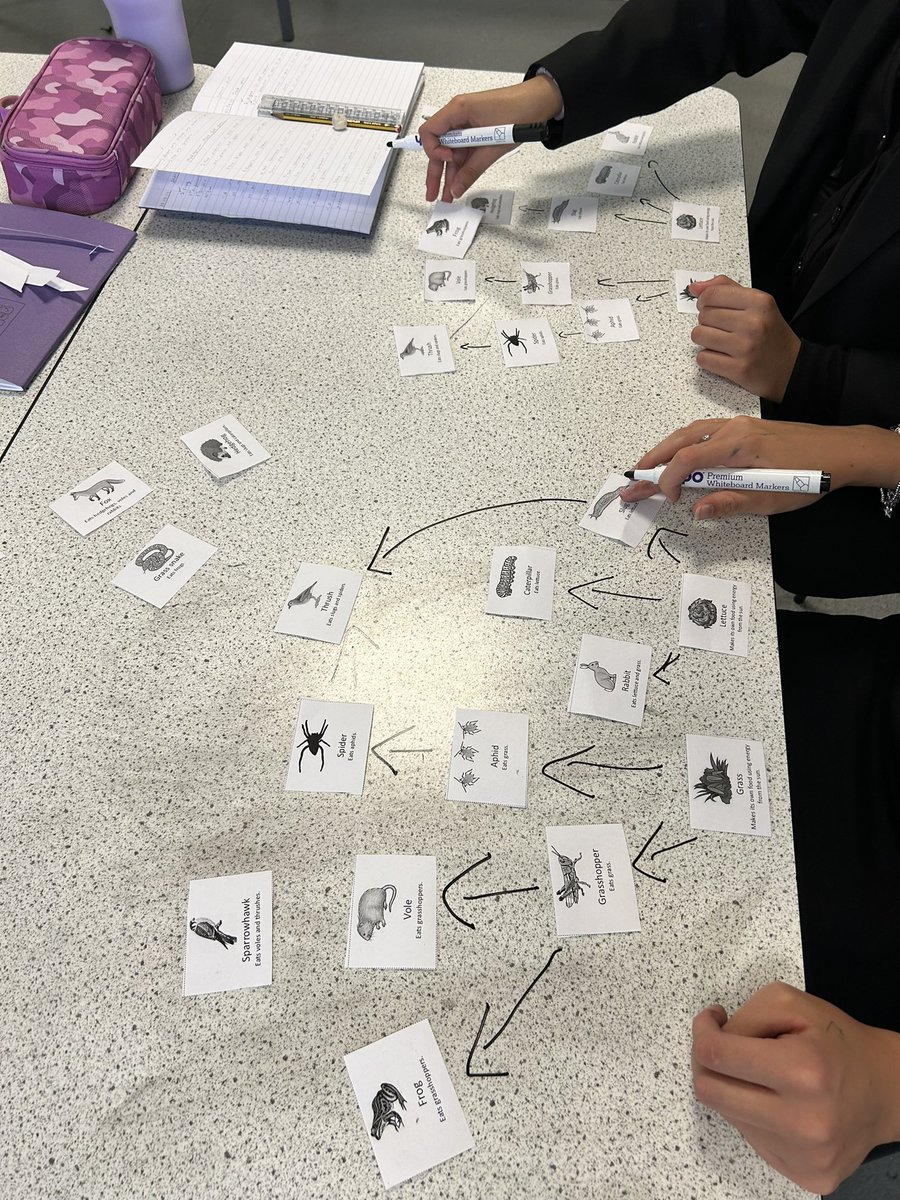 ChrystonScience tweet media