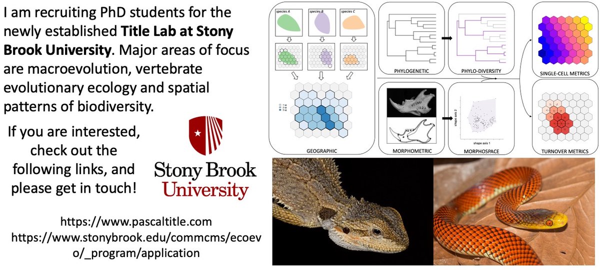 If you know of anyone interested in macroevolution and spatial patterns of biodiversity, I am seeking new PhD students to apply this fall! Please reach out if you would like to chat! pascaltitle.com