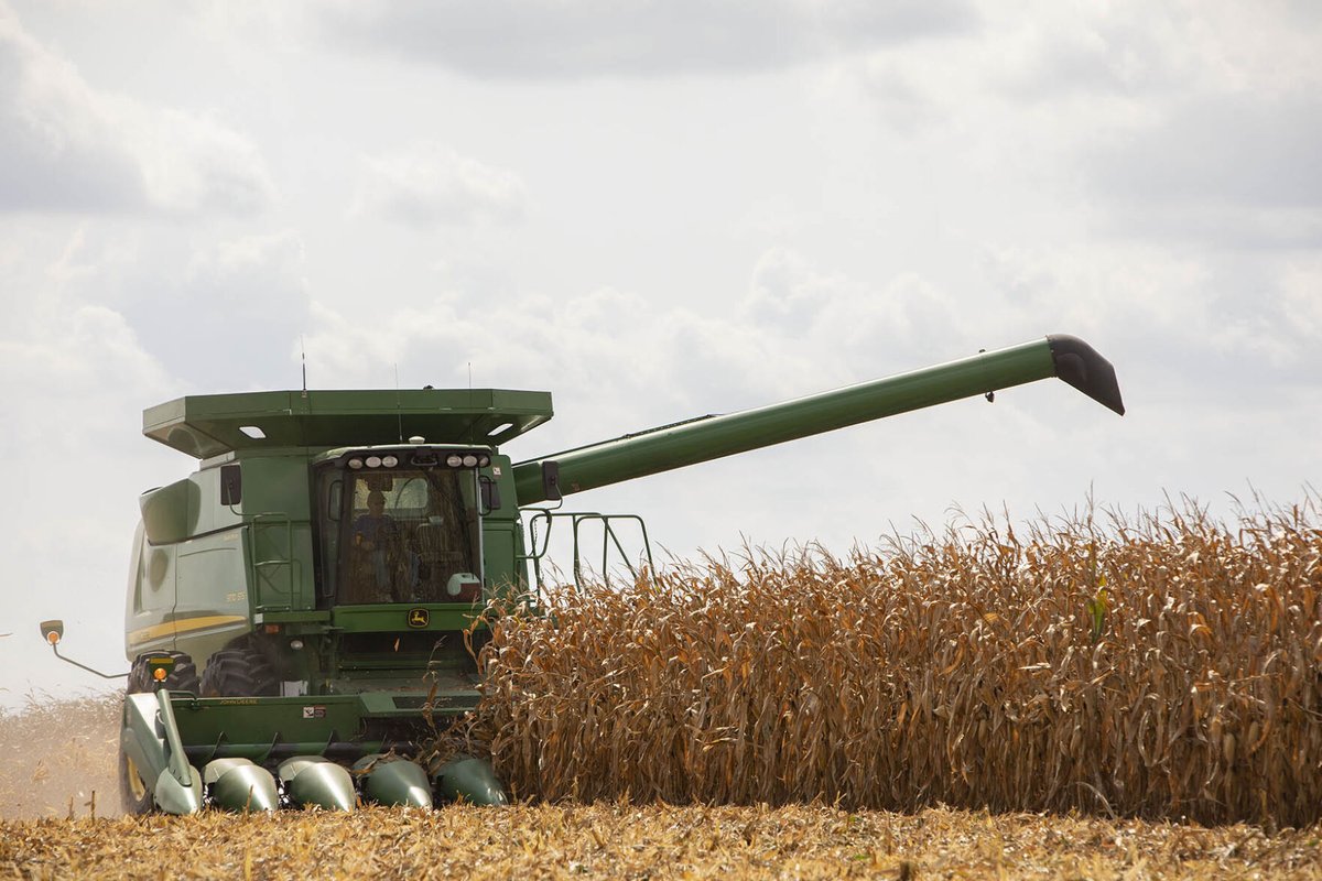 FarmWeekNow/RFD Radio (@farmweeknow) on Twitter photo RFD's <a href="/ritafrazer/">rita frazer</a> chats with Marshall County farmer Mary Streitmatter who is gearing up for the start of the harvest season. Even after damage from July storms, she says the crop seems to have come out pretty well. More from our CropWatcher: bit.ly/3ZiXtWR RFD's <a href="/ritafrazer/">rita frazer</a> chats with Marshall County farmer Mary Streitmatter who is gearing up for the start of the harvest season. Even after damage from July storms, she says the crop seems to have come out pretty well. More from our CropWatcher: bit.ly/3ZiXtWR