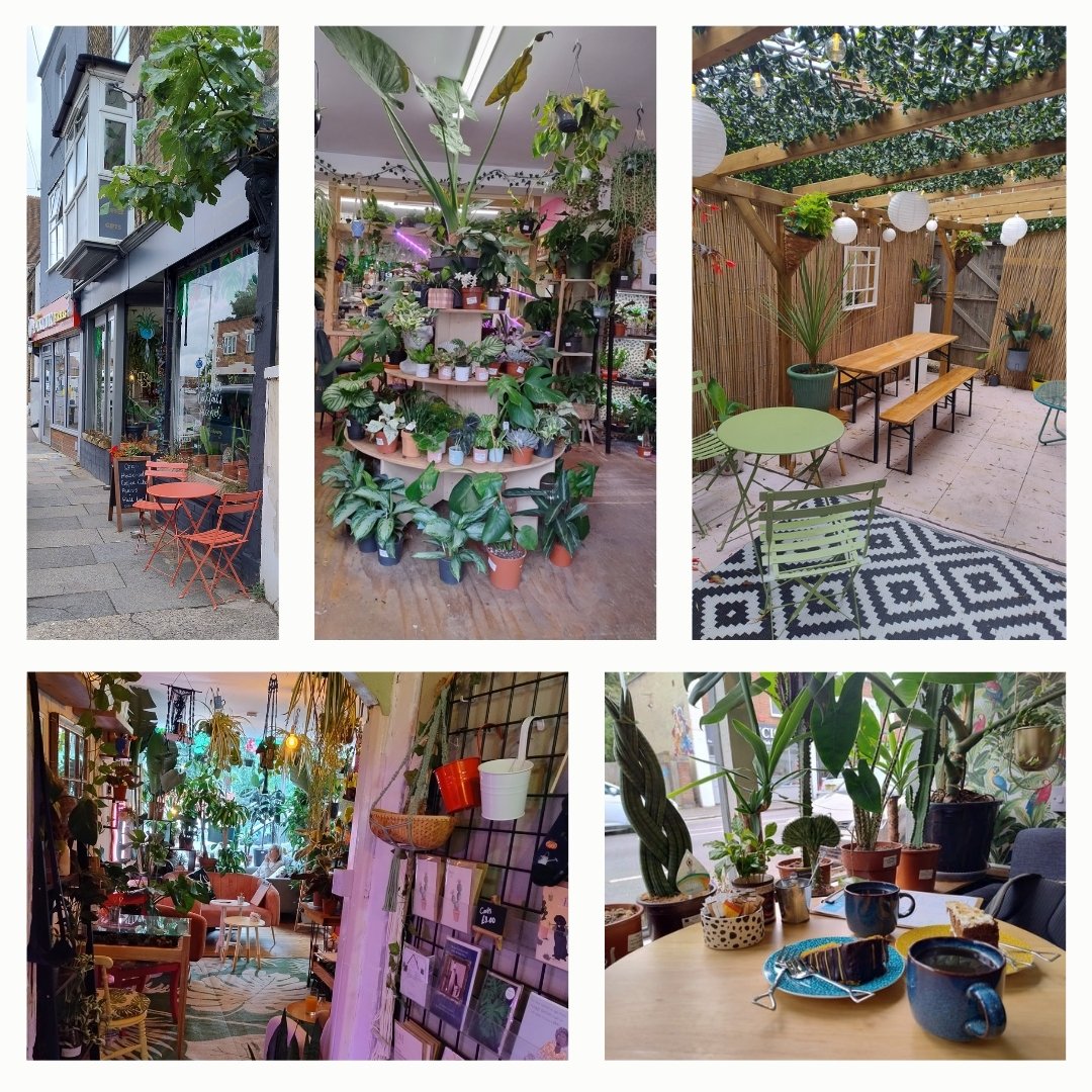 No Expert tweet media