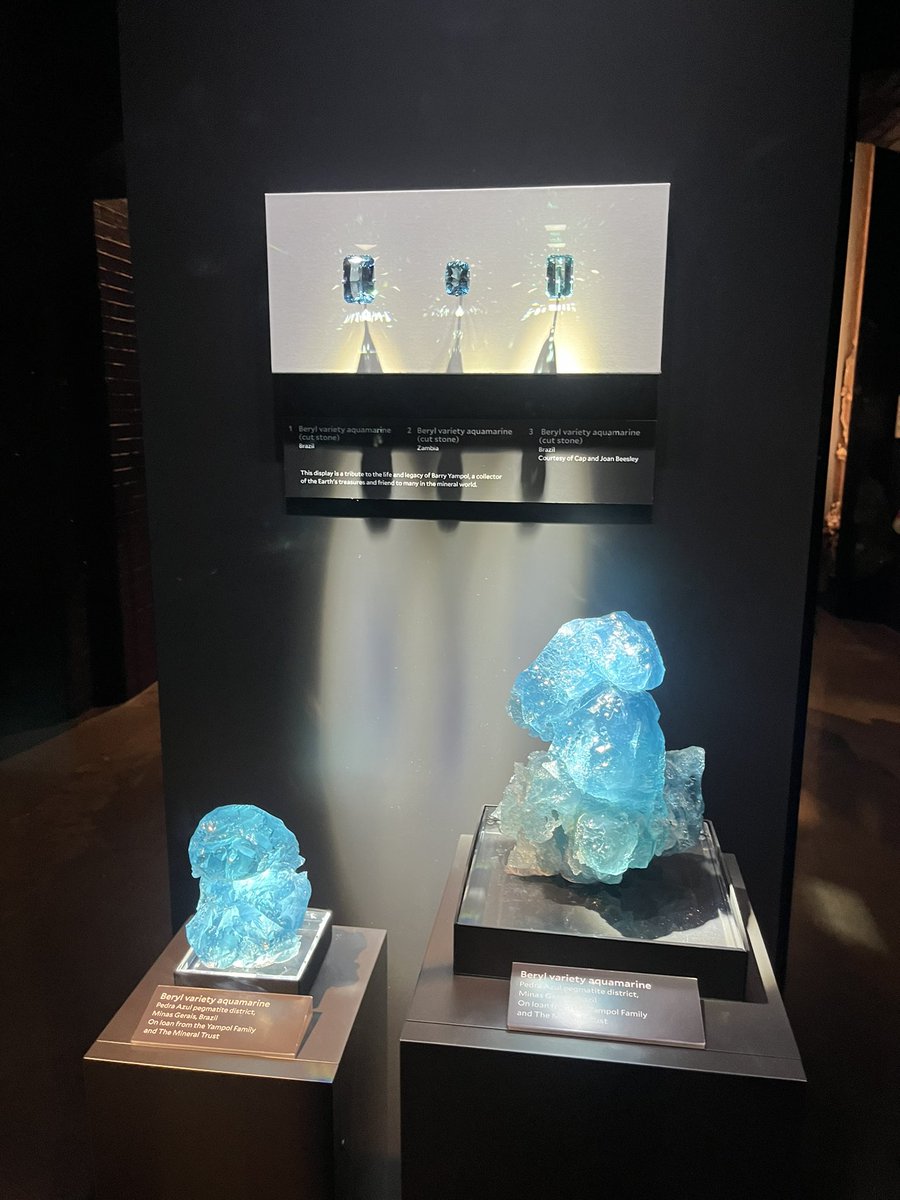 Kayla Yup (@kelayub) on Twitter photo In between writing my <a href="/MCDB_Yale/">Department of MCDB</a> thesis proposal this weekend, I managed to escape to the <a href="/yalepeabody/">Yale Peabody Museum</a> museum for the first time!! It was so cool (and free!) See below… a lightning strike, fossils, and beryl variety aquamarine ✨ In between writing my <a href="/MCDB_Yale/">Department of MCDB</a> thesis proposal this weekend, I managed to escape to the <a href="/yalepeabody/">Yale Peabody Museum</a> museum for the first time!! It was so cool (and free!) See below… a lightning strike, fossils, and beryl variety aquamarine ✨