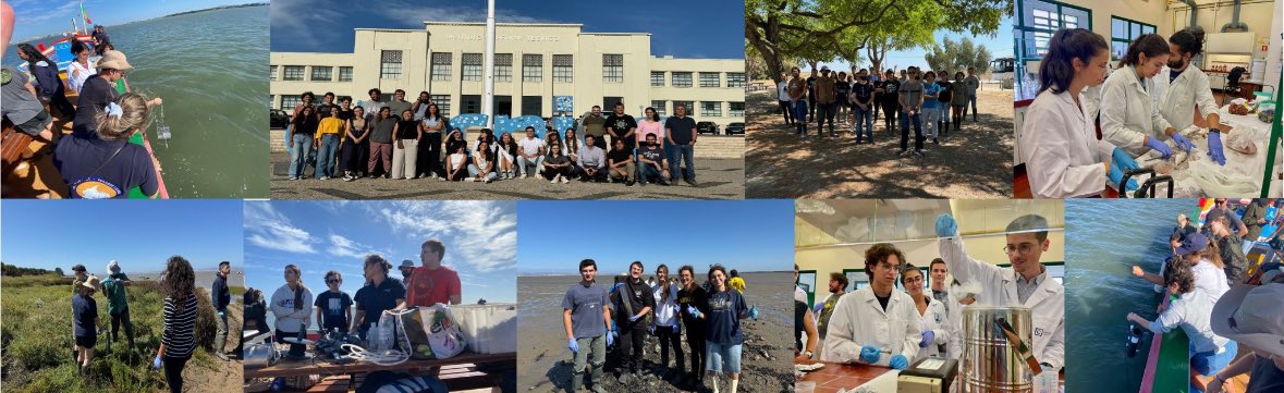 JooCanrio3's tweet image. And the 4th Course on Environmental Sampling is over. 25 fantastic participants with different scientific backgrounds. Thanks to my team Rute Cesário and Joana Raimundo. All possible with the support of @deqist @cqe_lisboa @istecnico @ipma_pt and @CMAlcochete