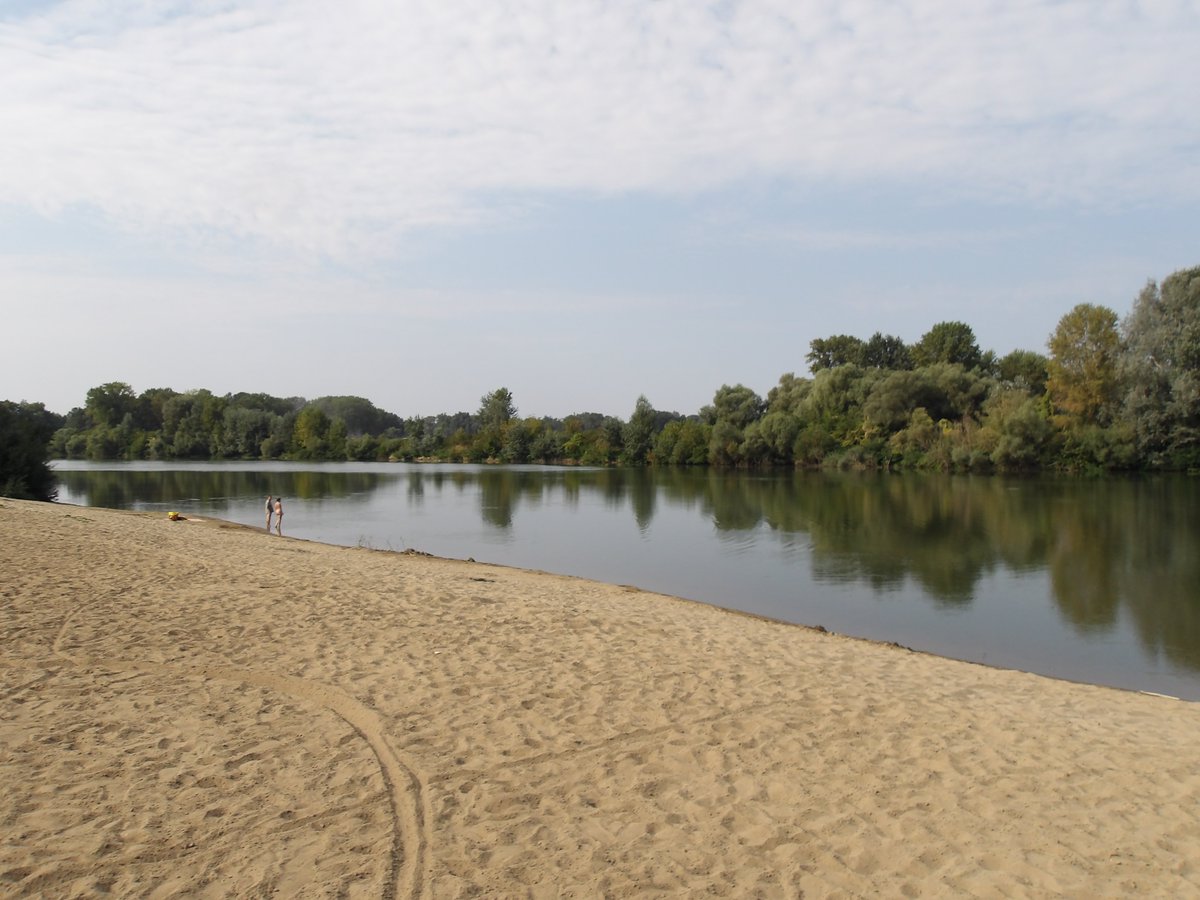 AndreaGerak's tweet photo. 🇭🇺Az ibrányi Tisza-part, 2024. szeptember.
Csodálatos napok vannak mögöttem, helytörténeti és családkutató konferencián énekeltem. Életem egyik legmeghatóbb fellépése. Mindjárt mesélek róla bővebben.
#GerákAndrea #AndreaGerak #Ibrány #Tisza #utazás #travel #Magyarország #Hungary https://t.co/PotWdqpg8Z