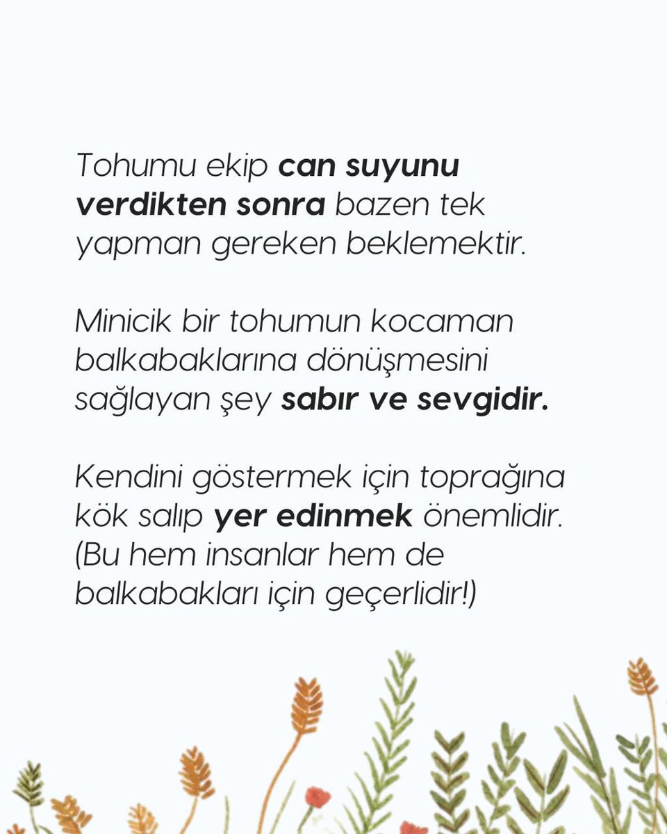 parasutkitap's tweet photo. Victor o kırılgan tohumu elleriyle toprağa ekmiş ve başlamış sabırla beklemeye. Sonbahar gelmiş, Victor’un tohumu iki koca balkabağına dönüşmüş. Yetmemiş, Victor’a binlerce tohum vermiş.

O binlerce tohuma ne mi olmuş? Cevap, toprağın bereketinde gizli...🎃🧡 https://t.co/hx2ATaleyb