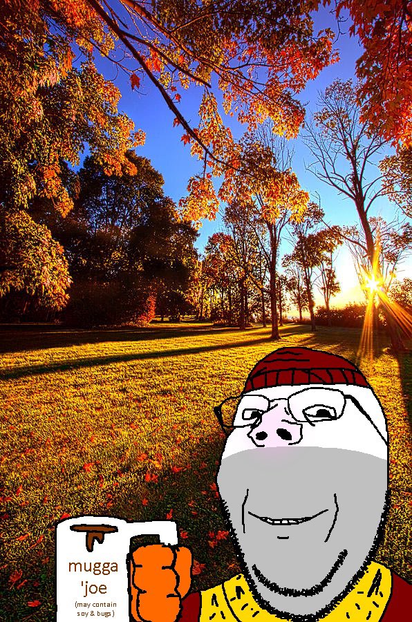 Gone Insane Groyper tweet media