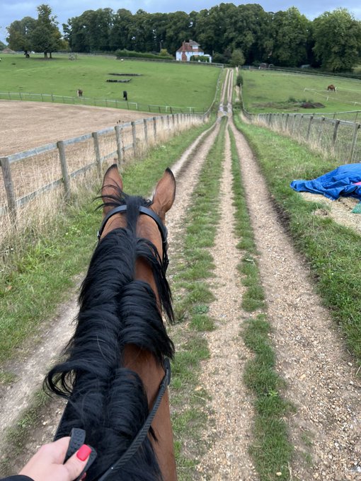 Both of them really good as gold for Me this afternoon and I needed that. 😉 https://t.co/pSkWruQE6f<a href="/tag/chanel"class="tags"><span>#chanel</span></a><a href="/tag/spoiled"class="tags"><span>#spoiled</span></a><a href="/tag/louboutins"class="tags"><span>#louboutins</span></a><a href="/tag/dinnerdate"class="tags"><span>#dinnerdate</span></a>