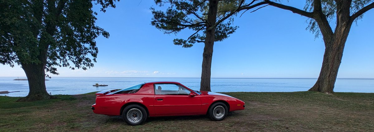 MikeClineJr's tweet image. All I can think about right now is going for a drive in my car.