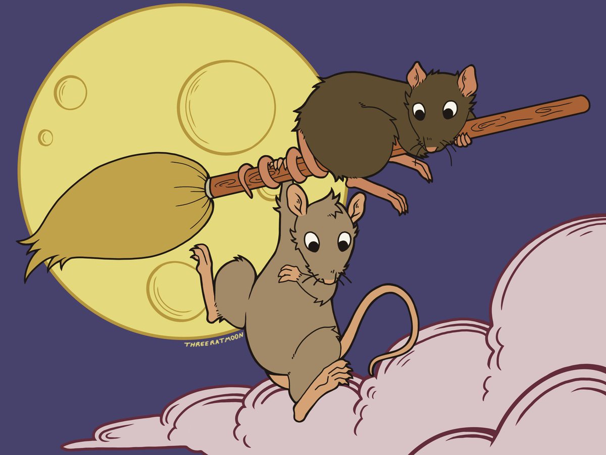 moonlight ride 🌕🧹