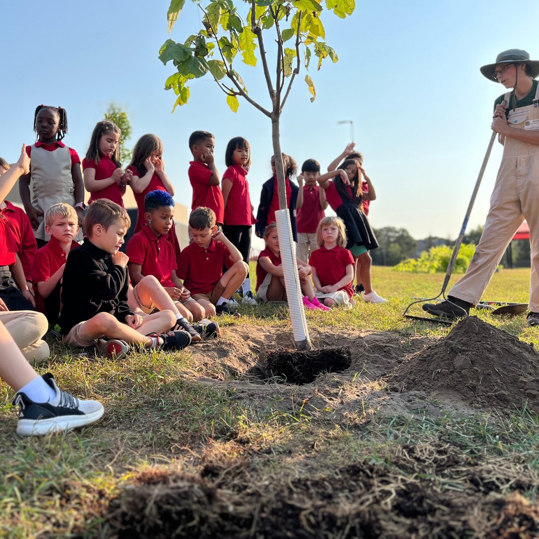 TreeTrust's tweet image. 🌞🌳 Thanks to Connexus Energy & Green Futures, students at Davinci Academy of Art and Science are Learning with Trees™! 💚 Our Career Pathways team installed a stunning outdoor classroom for learning under the sky! 🌿📚 #LearningWithTrees #OutdoorEducation