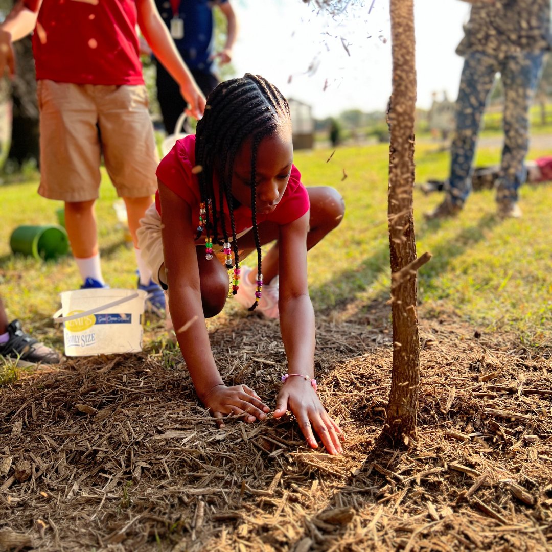 TreeTrust's tweet image. 🌞🌳 Thanks to Connexus Energy & Green Futures, students at Davinci Academy of Art and Science are Learning with Trees™! 💚 Our Career Pathways team installed a stunning outdoor classroom for learning under the sky! 🌿📚 #LearningWithTrees #OutdoorEducation