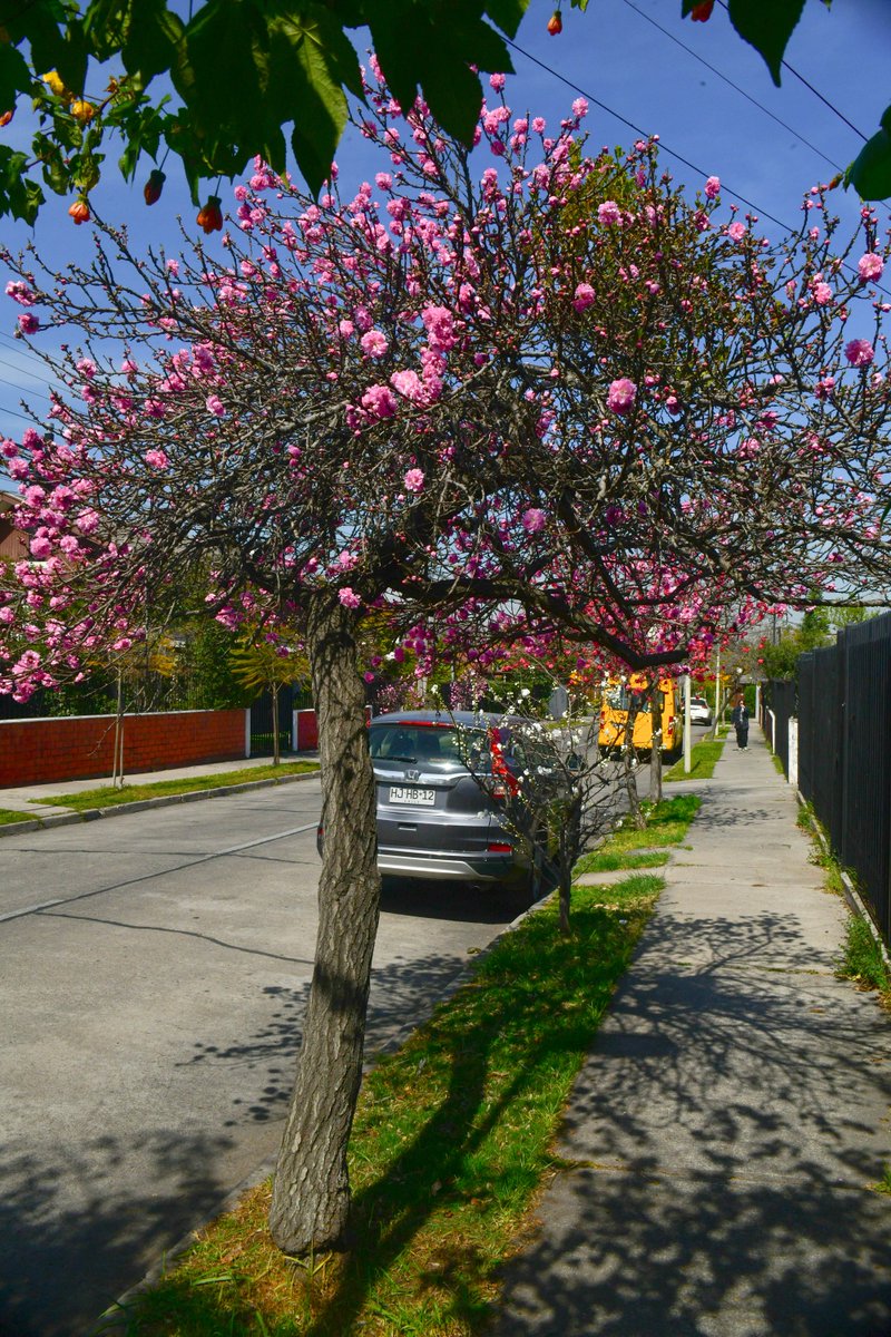 Las Condes tweet media