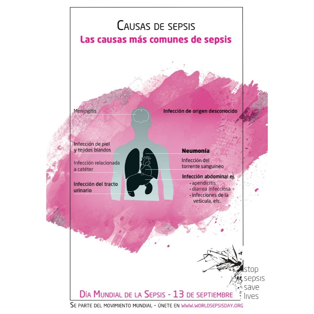 SATIarg's tweet photo. 📅13 de septiembre. Día Mundial de la Sepsis.
📌 Recordá que este viernes 13 a las 18:00 hs. transmitiremos en vivo por Youtube y Facebook nuestra jornada "Día Mundial de la Sepsis: de la concientización a la intervención efectiva" https://t.co/ibYZLem1Yr