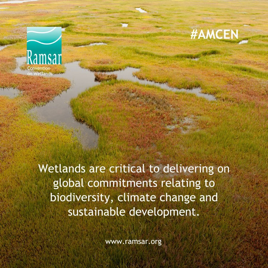 UN Biodiversity (@unbiodiversity) on Twitter photo #Wetlands are critical to delivering on global commitments related to biodiversity, climate change and sustainable development. 
By preserving and restoring wetlands, we support not only the health of our planet but also the wellbeing of communities.
Via <a href="/RamsarConv/">Convention on Wetlands</a> #Wetlands are critical to delivering on global commitments related to biodiversity, climate change and sustainable development. 
By preserving and restoring wetlands, we support not only the health of our planet but also the wellbeing of communities.
Via <a href="/RamsarConv/">Convention on Wetlands</a>