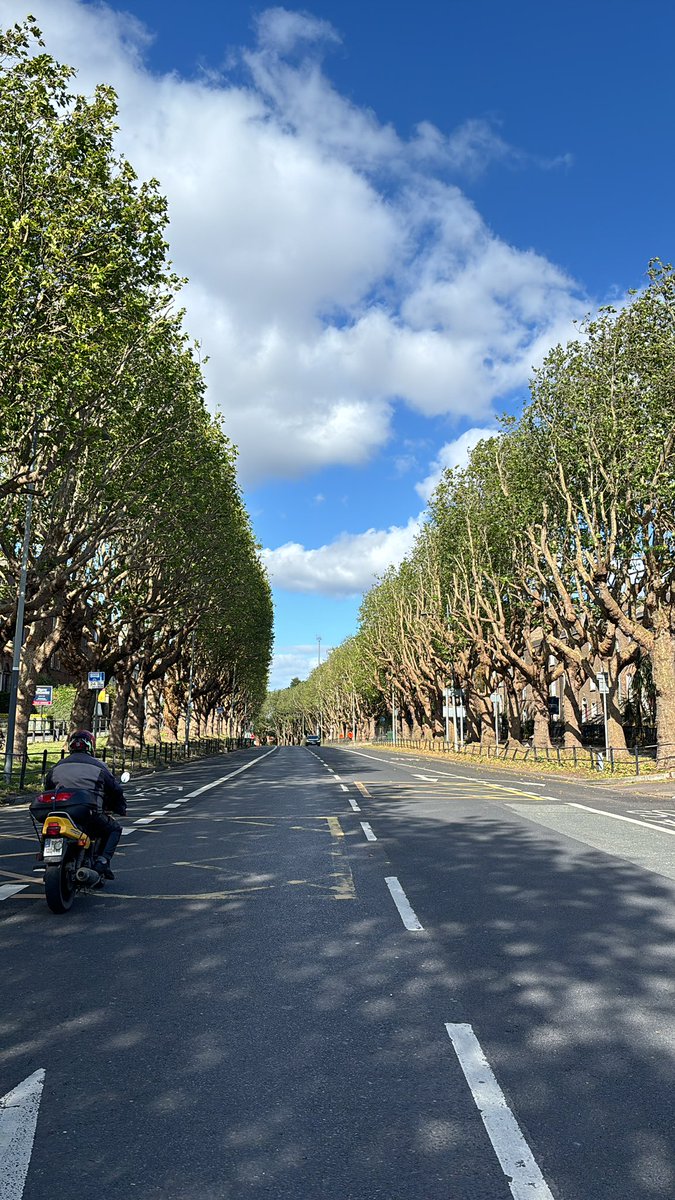 What a job 🔥 <a href="/greenparty_ie/">Green Party Ireland</a> stop adding bike lanes nobody wants and get this done on Griffith avenue, dorks