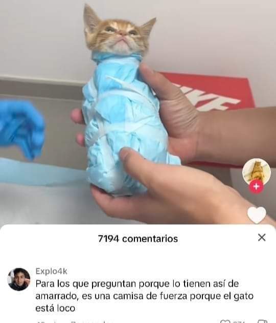 ShitpostRandom's tweet image. 