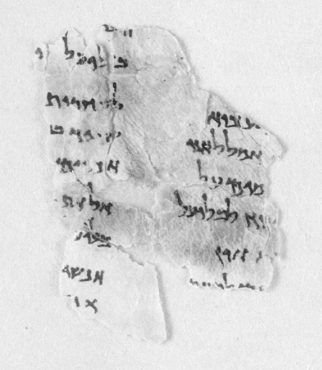 arsteinjustnes's tweet photo. #DailyLoss: #4Q177 (Catena[a]) frg 13* [or 4QfMRI?] #LostDeadSeaScrollFragments
https://t.co/Wj4ZsL5Hur
https://t.co/h8D0ncshqI https://t.co/fKBadfBDf0