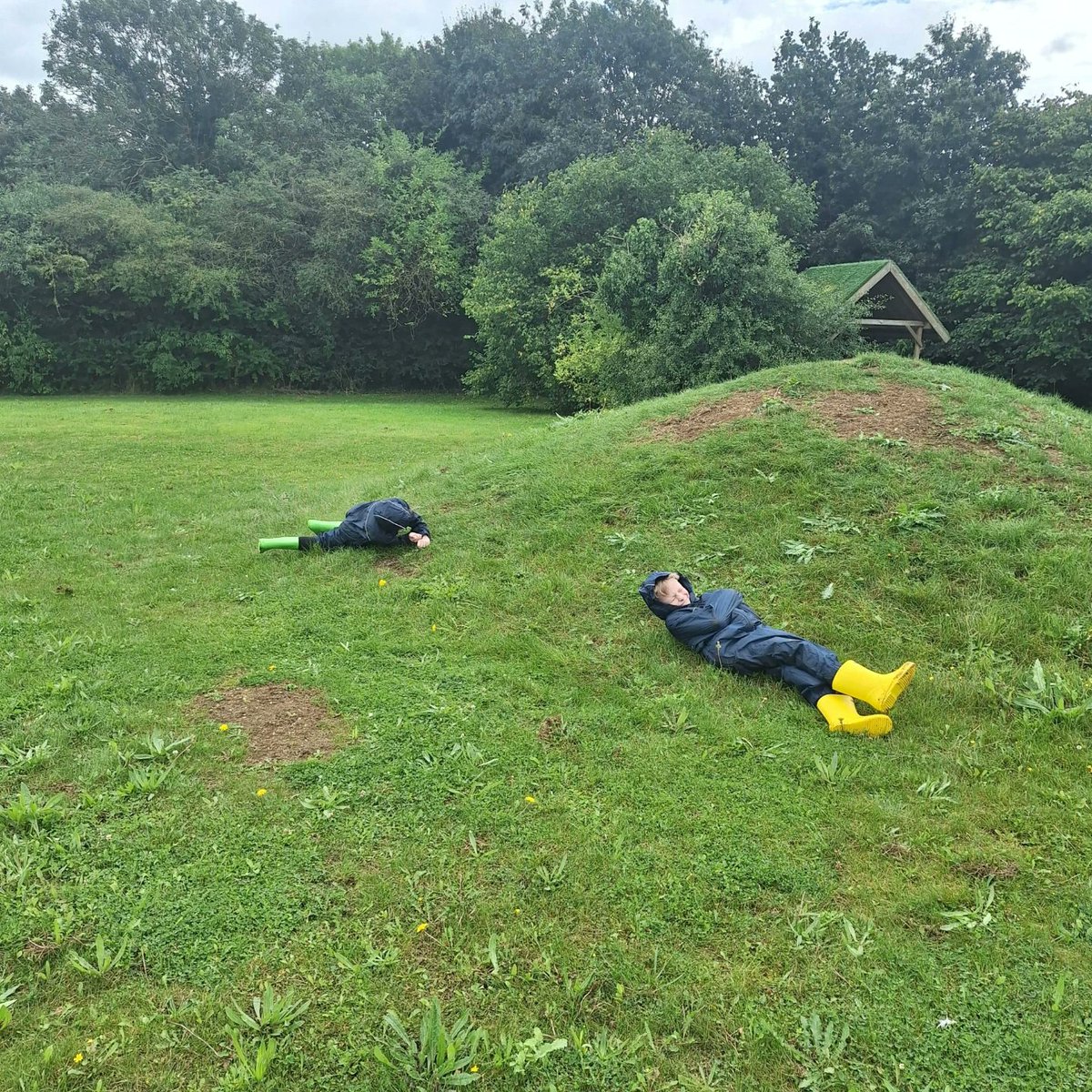 Maple Cross School tweet media