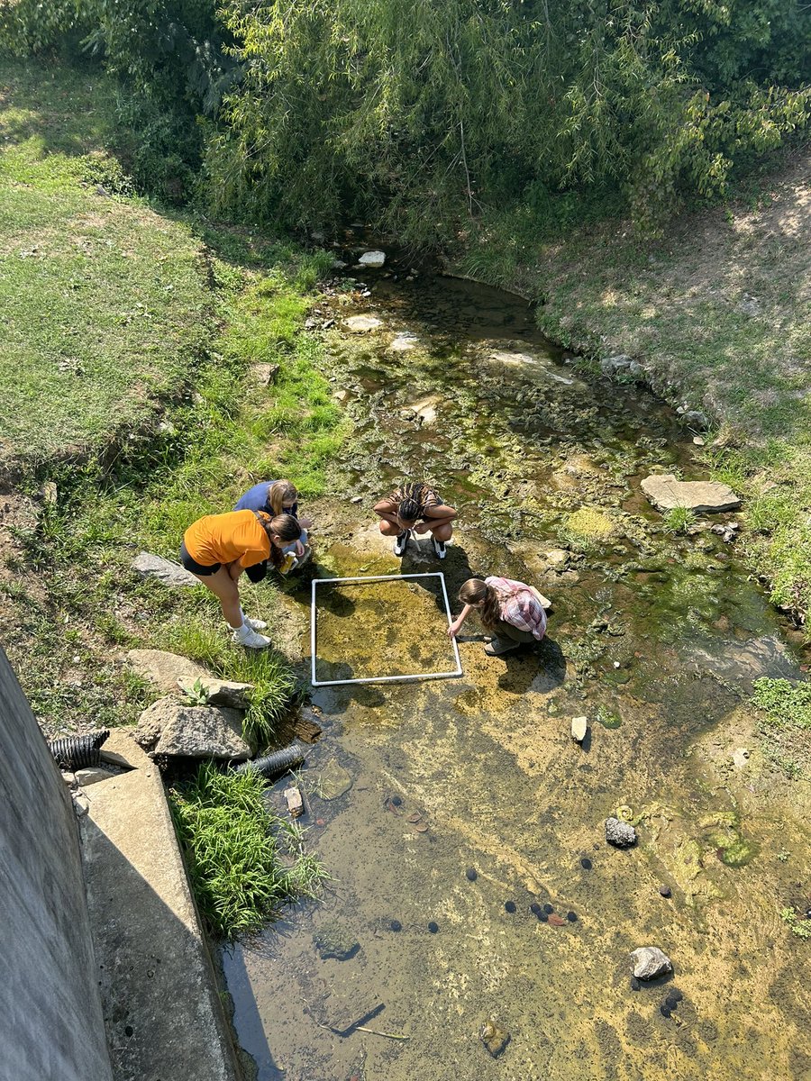 Ecology students investigate aquatic snail size and abundance at East Campus #UTSouthern