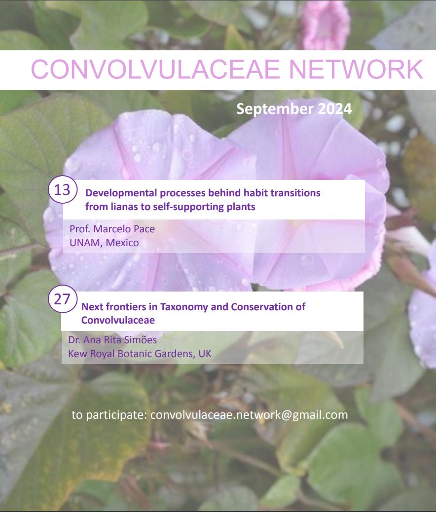 Convolvulaceae Network tweet media