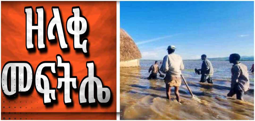 #ትኩረት_ለስልጤ‼️
#ድምጻችን_ለማህበረሰባችን‼️
#ድምጻችን_ለዘላቂ_መፍትሔ‼️
#ለጊዜው_አውርተን_መርሳት_ይቁም‼️
#ከ2007-2016 በስልጤ ዞን በስልጢና በምስራቅ ስልጢ ወረዳዎች በተከሰተ ጎርፍ‼️
#በብዙ ሺህ የሚቆጠር ማህበረሰብ ከቤት ንብረቱ ተፈናቅሏል‼️