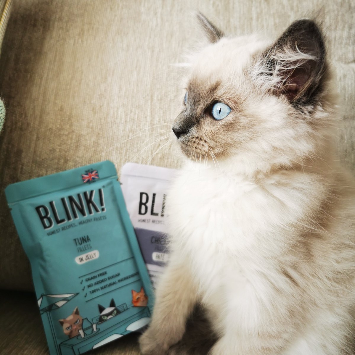 SkinnyLynne2 tweet media