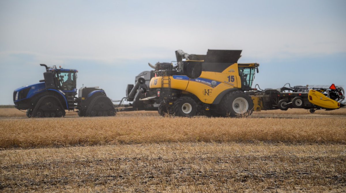KF1899's tweet photo. A career in ag just hits differently. No two days are the same and there’s always something to dig into. From administrative, sales or labour – to science or engineering… different skill sets are required and sought after.

Questions? Just ask.

@NewHolland @Mazergroup https://t.co/TaUB6QjRmy
