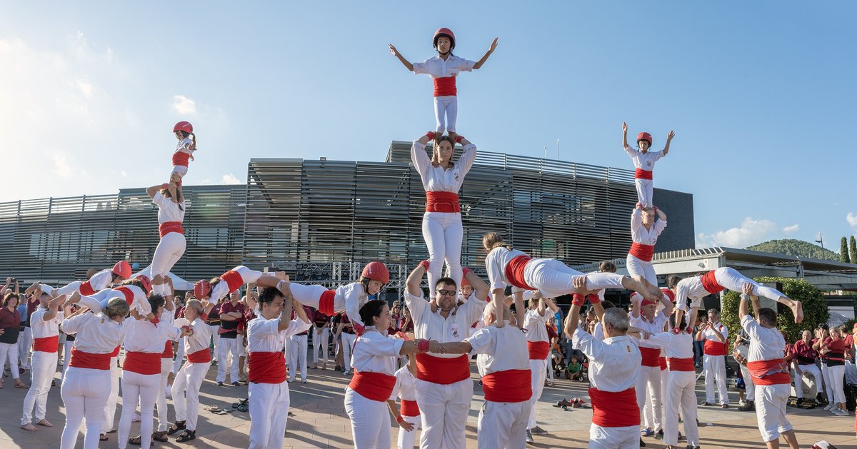 Falcons de Barcelona tweet media