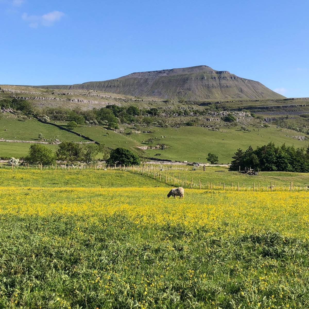 If you’ve hiked 1, 2 or 3 of the Peaks, take a look at the Dales 30, all over 2000 feet high with at least a 30 metre drop on all sides, making them a Peak. You may want to check out the map on a computer to see we’re placed well to start ticking them off. dales30.co.uk