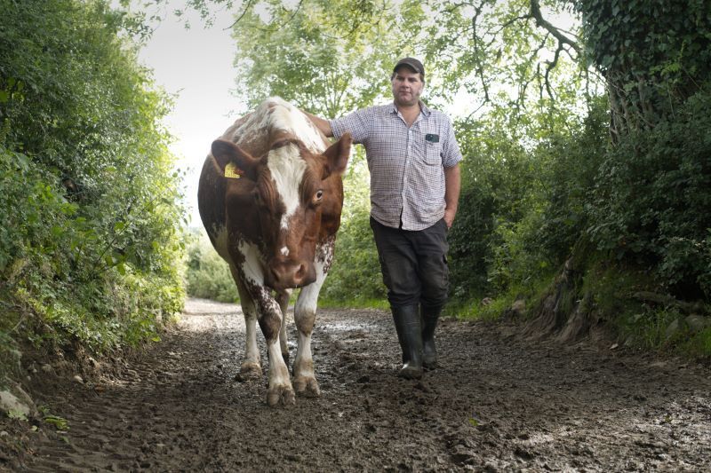 storedhoney (@storedhoney) on Twitter photo An exhibition exploring the life and work of Cumbrian farmers is opening at Abbot Hall (<a href="/lakelandarts/">Lakeland Arts</a>) on Saturday, September 28. Find out more: bit.ly/storedhoney070…
(Pic: Johannes Pretorius) An exhibition exploring the life and work of Cumbrian farmers is opening at Abbot Hall (<a href="/lakelandarts/">Lakeland Arts</a>) on Saturday, September 28. Find out more: bit.ly/storedhoney070…
(Pic: Johannes Pretorius)