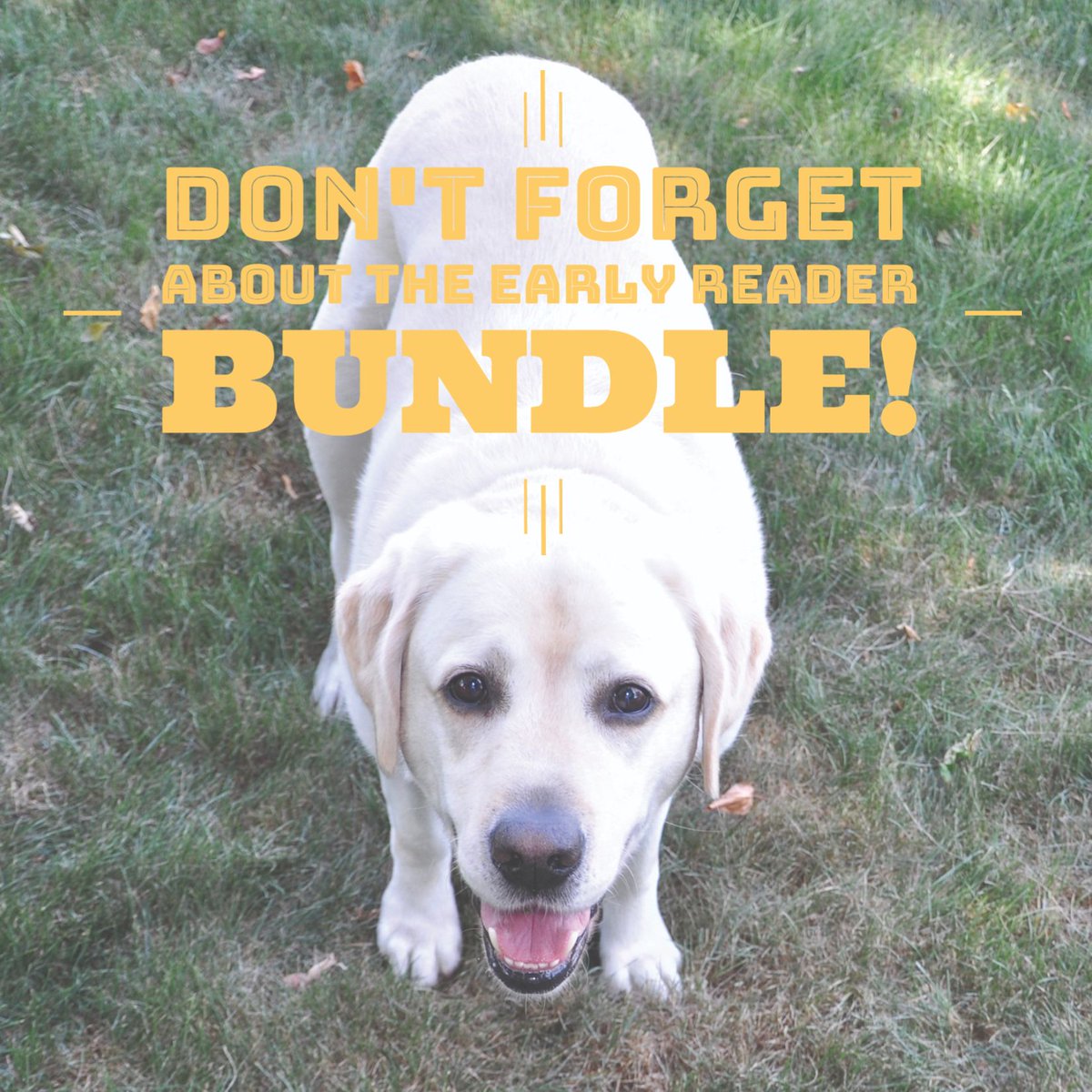 Don't forget about... - mailchi.mp/maryruthbooks/…