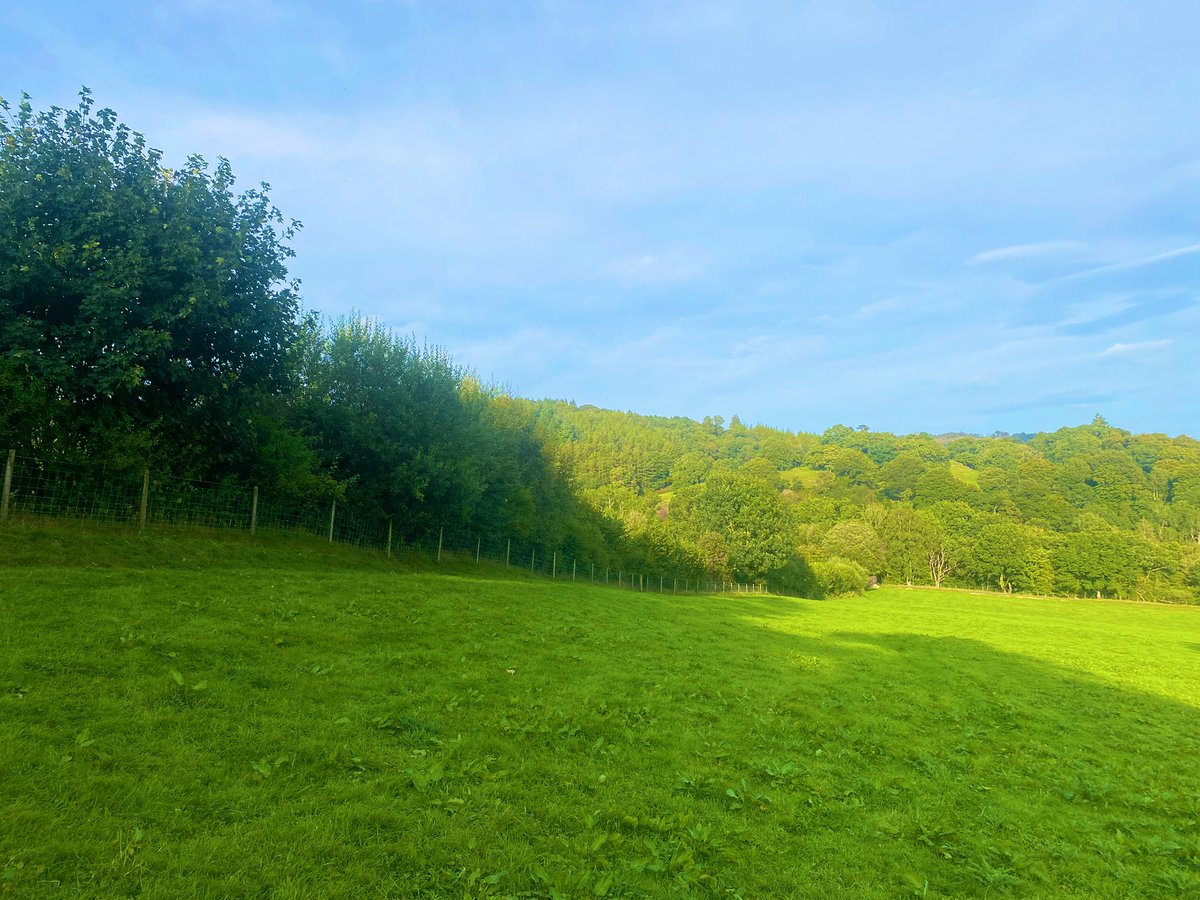 Geraint Davies 🏴󠁧󠁢󠁷󠁬󠁳󠁿 tweet media