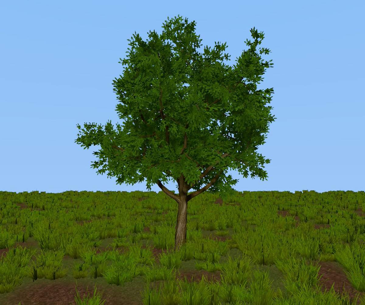 dangreenheck's tweet image. Was busy wrapping up some contract work but I am back to finishing up v2 of my #threejs procedural tree generator! Currently fleshing out the environment with grass, rocks, flowers and a forest. Getting the colors right is still one of my biggest struggles. #creativedev #webgl