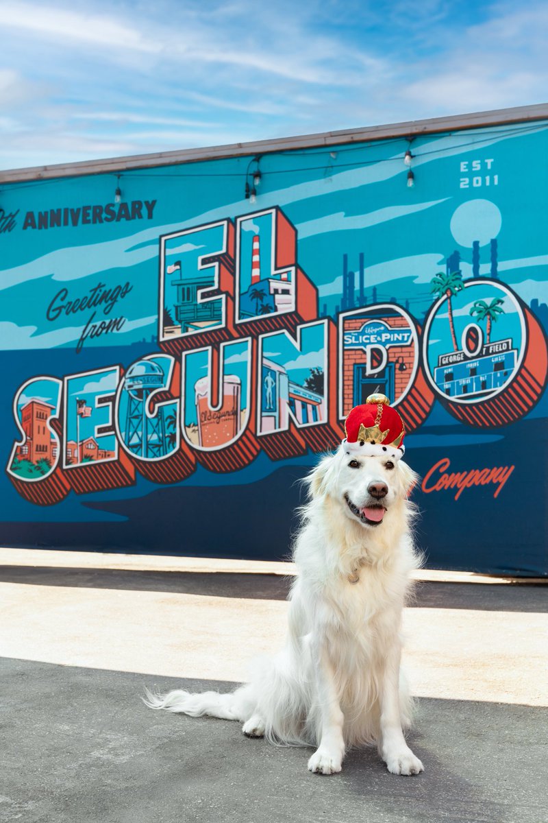 Come meet Mayberry, the ESBC "Party Dog of the Year"* this Saturday between 1:30-3:00 as we unveil Mayberry's official photo in our taproom! Thanks to Mayberry's parents,  Jill and Shawn, and the outstanding photographer, Sarah DeRemer , for making this photoshoot happen!