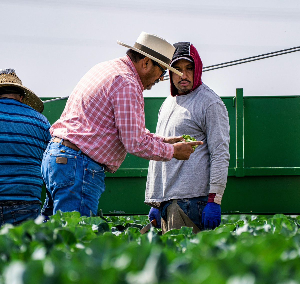 Get a refund for your Organic Certification Fees! 
ccof.org/organic-certif…

¡Obtenga un reembolso de sus tarifas de certificación orgánica!
ccof.org/es/organic-cer…

#organicfarming #costshare #agriculturaorganica #fincasorganicas #reembolsoorganico