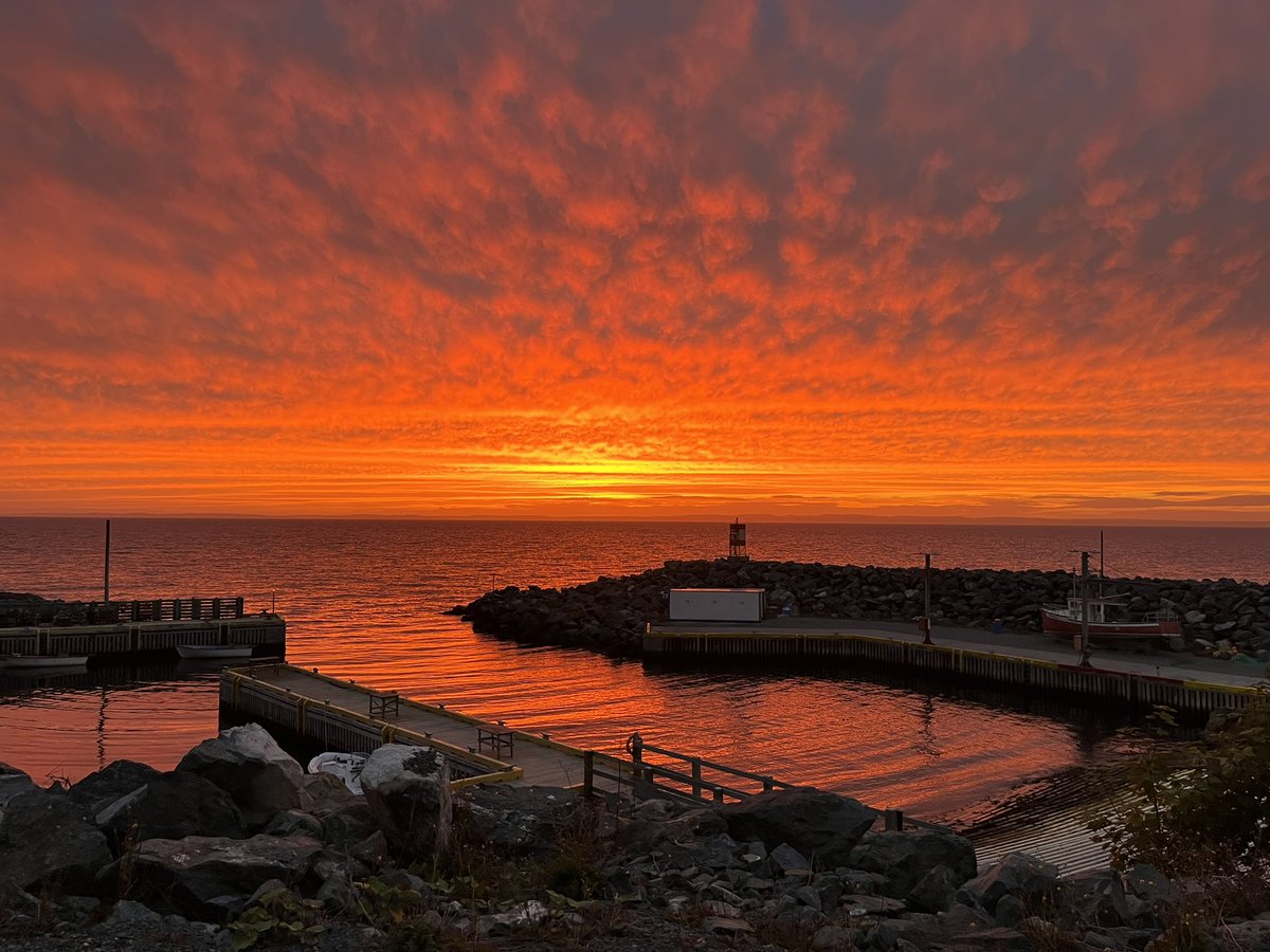 “May every sunrise hold more promise and every sunset hold more peace.”
— UMAIR SIDDIQUI

📸 Bauline, Newfoundland Labrador

#ExploreNL #DiscoverNL #HikeNL #IgniteNL #AdventureNL #GetOutside #sunset #ChasingSunsets 
#ShareYourWeather #nlwx 
<a href="/EddieSheerr/">Eddie Sheerr</a>