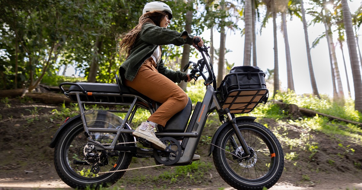 Rad Power Bikes tweet media