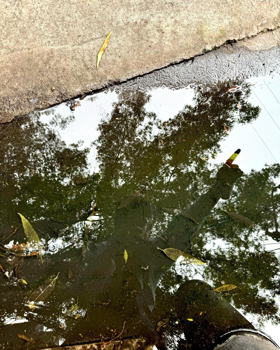 사둥 ²⁰⁰ tweet media