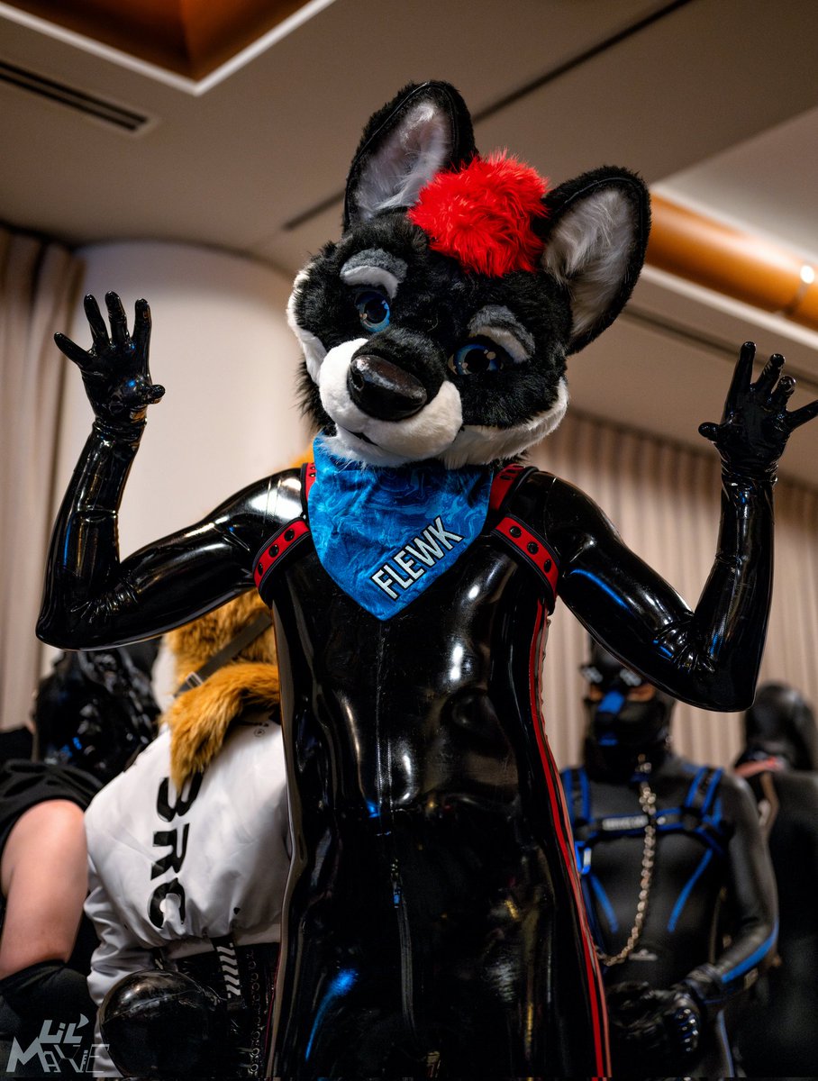 Shiny fox says raaaaaaaaah!
📸 <a href="/Mawdy14/">Lil’ Maxie</a>