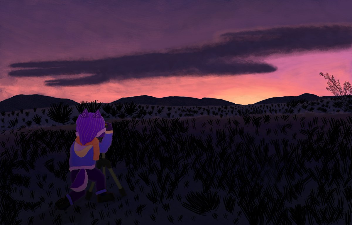 MissingIkeaScrw's tweet image. Sunset Snapin&apos; 📷

#furry #furryart #furryartist