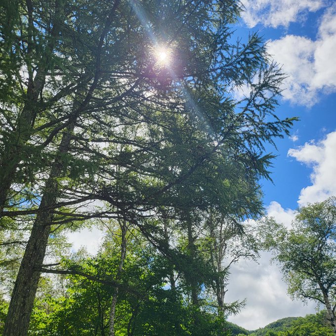 Twitterのコスプレ画像9